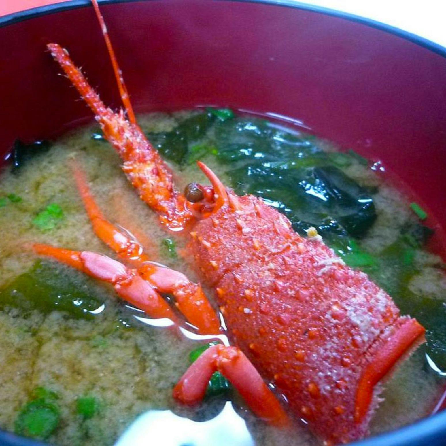 Awabi to Ise Ebi no Oyado Tamaya