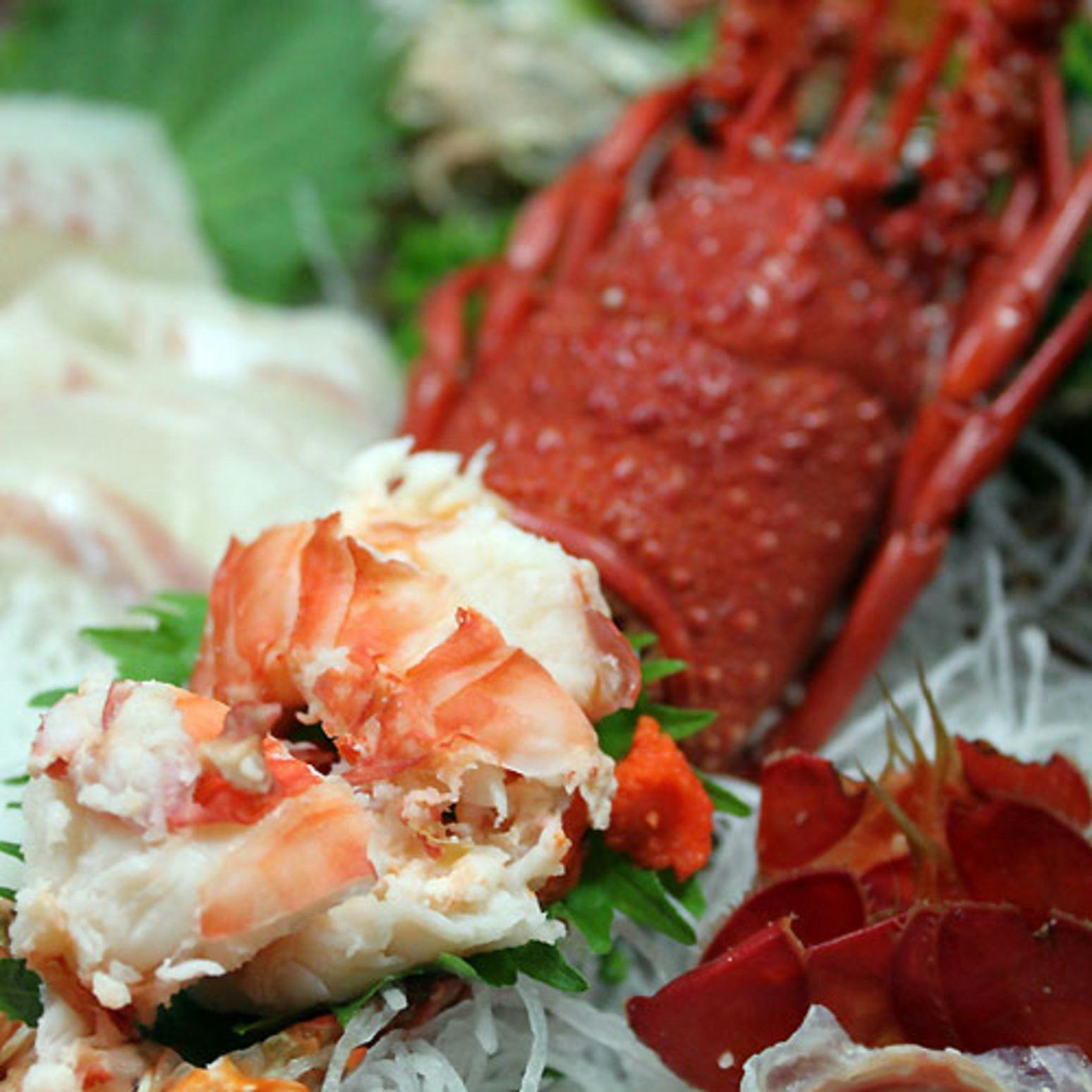 Awabi to Ise Ebi no Oyado Tamaya