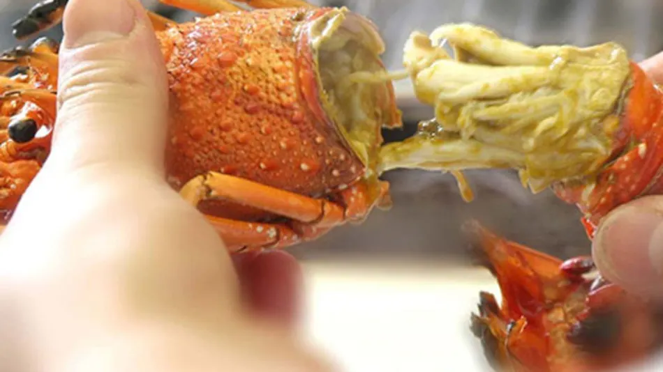 Awabi to Ise Ebi no Oyado Tamaya