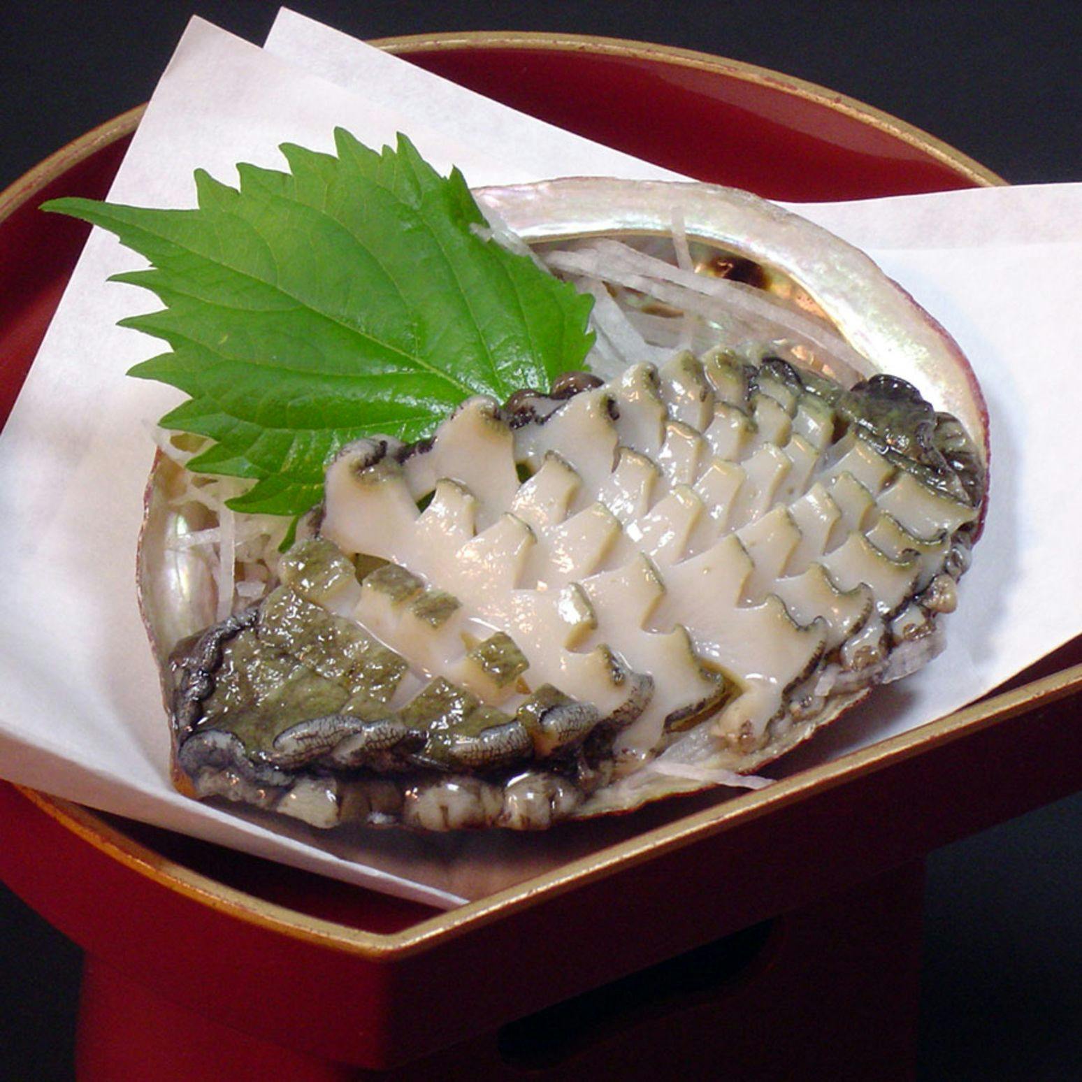 Awabi to Ise Ebi no Oyado Tamaya