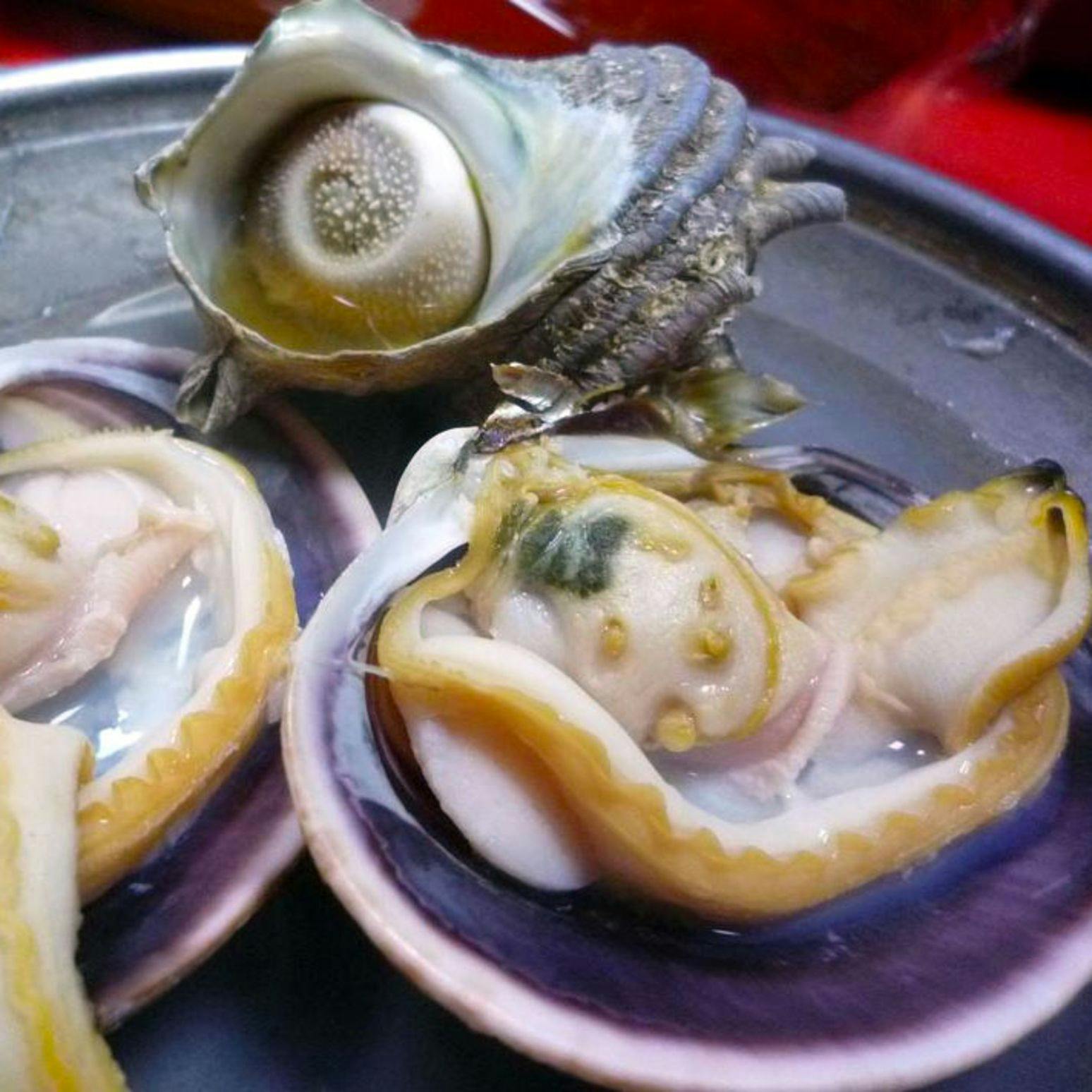 Awabi to Ise Ebi no Oyado Tamaya