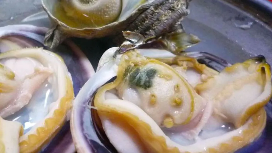 Awabi to Ise Ebi no Oyado Tamaya