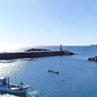 แผนประสบการณ์ตกปลา