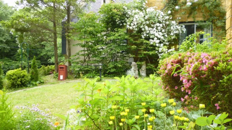 British Forest Hotel Queens Manor