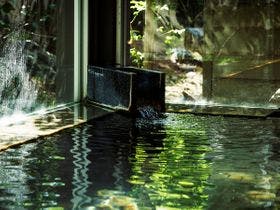 温泉旅館　丸茂