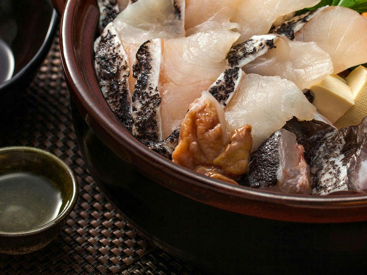 Komoda IL.SOGNO <Tsushima>