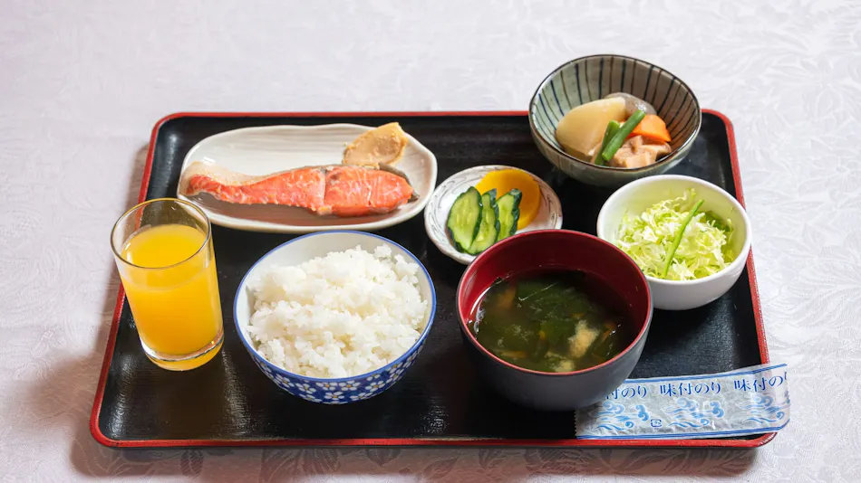 Shibata New Hotel Plaza