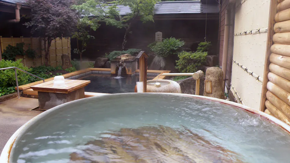 Totsukawa Onsen Hotel Subaru