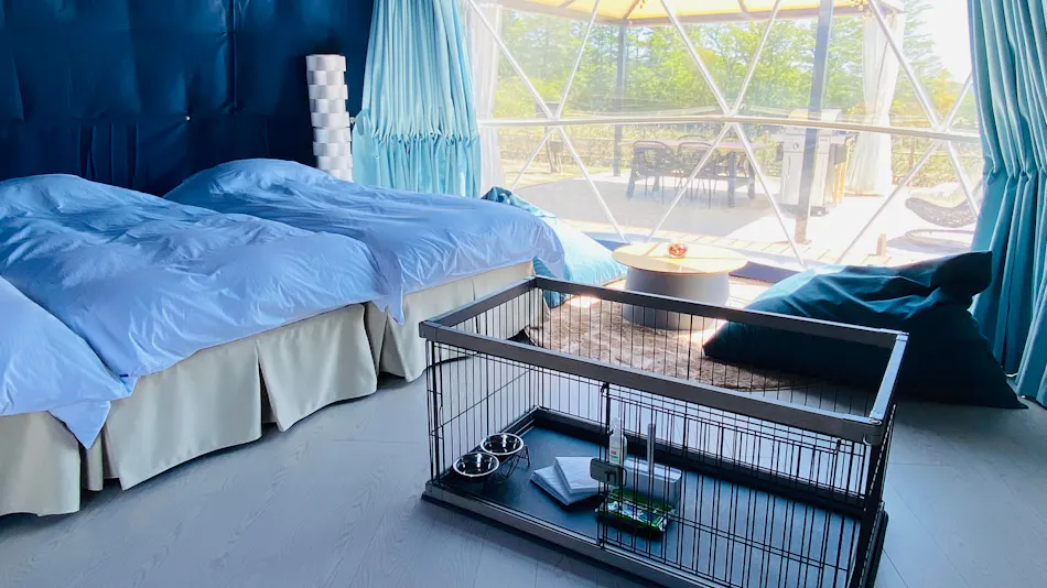 Chill Out Glamping Zao