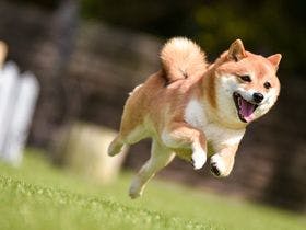 チルアウトグランピング蔵王