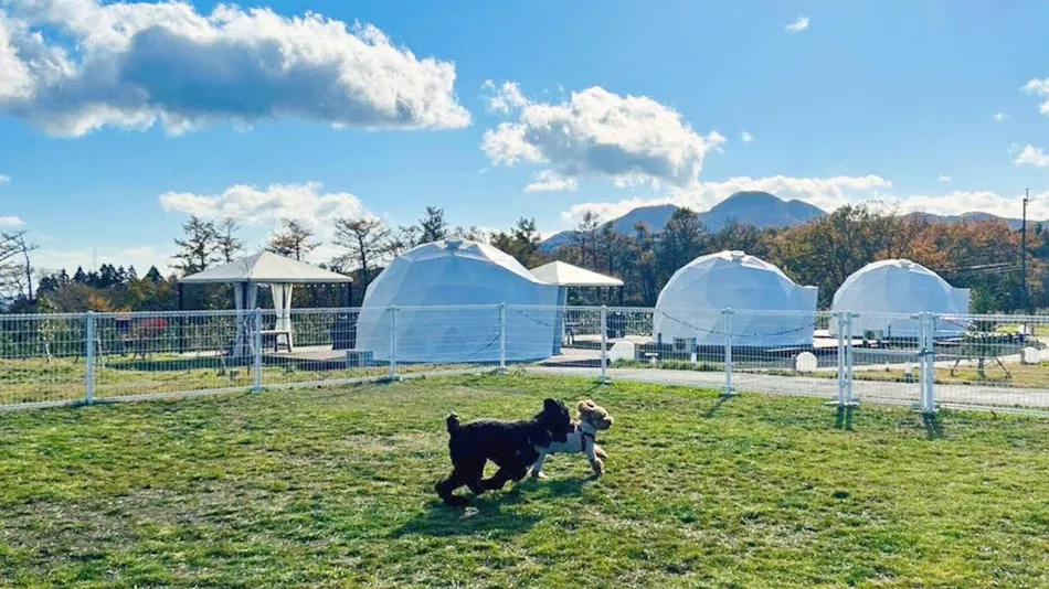 Chill Out Glamping Zao