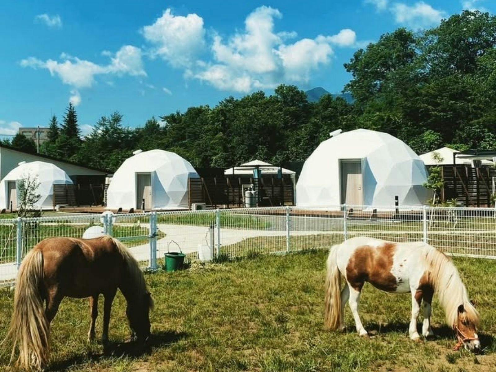 Chill Out Glamping Zao