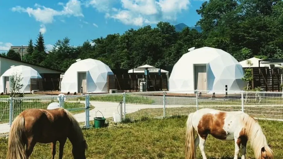 Chill Out Glamping Zao