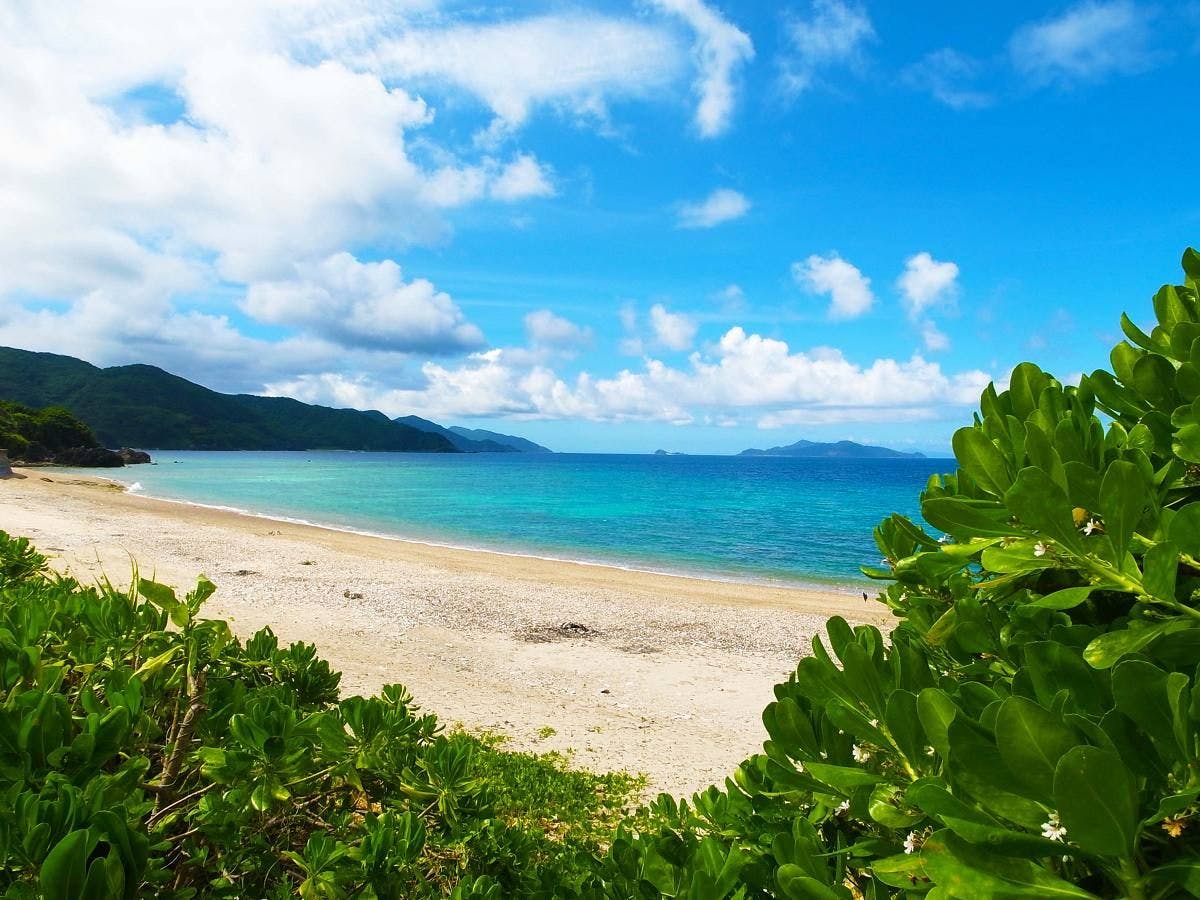 ภาพบรรยากาศรอบๆ ที่พักที่มีหลังคามองเห็นทะเล