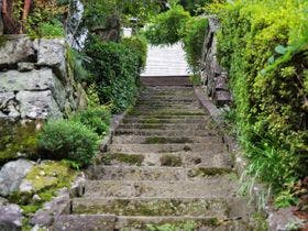 旅館　鶴富屋敷