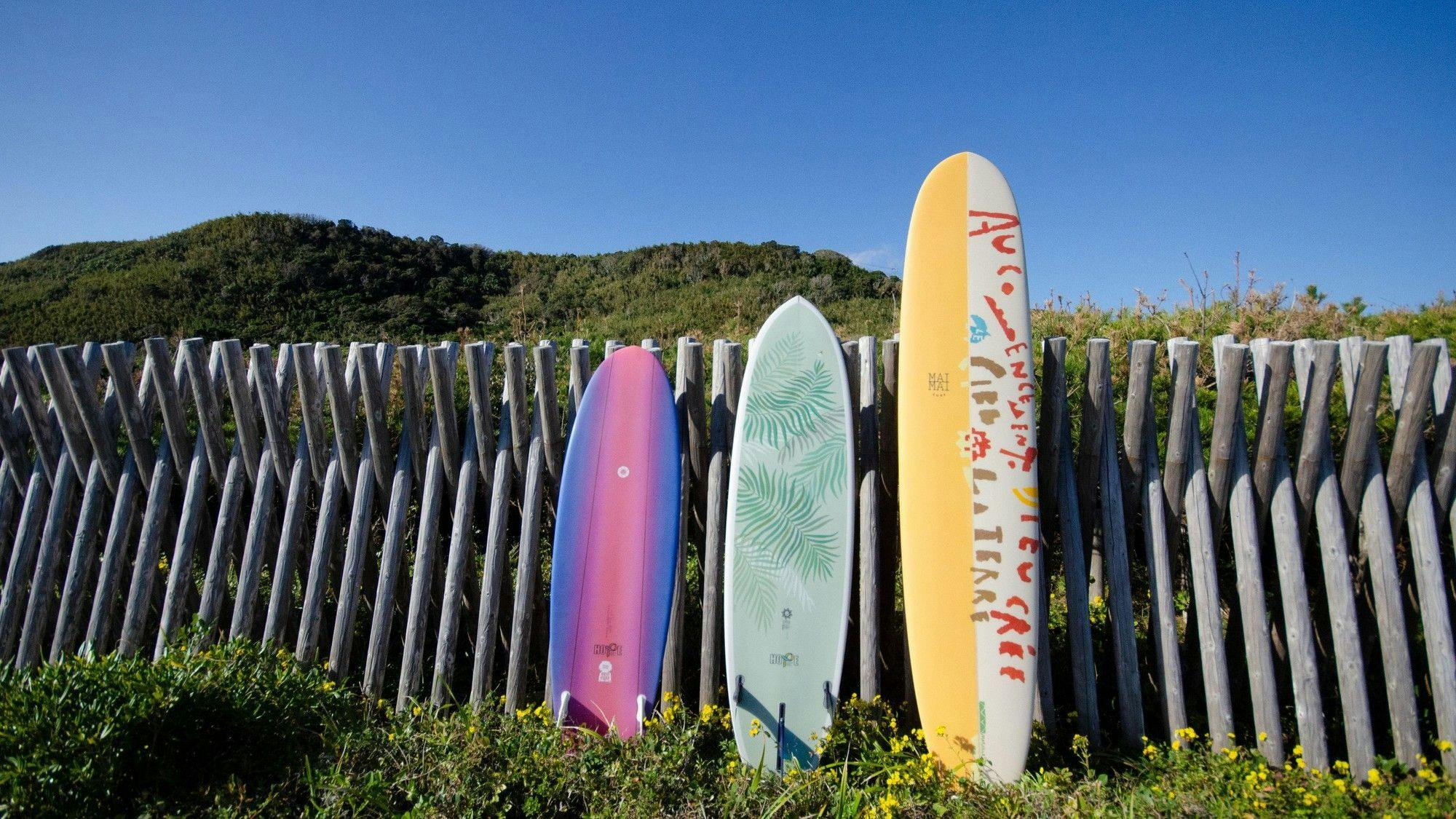 Island Inn HOPE <Tanegashima>