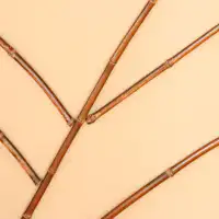 Bilik gaya Jepun 10 tatami - Jurojin -