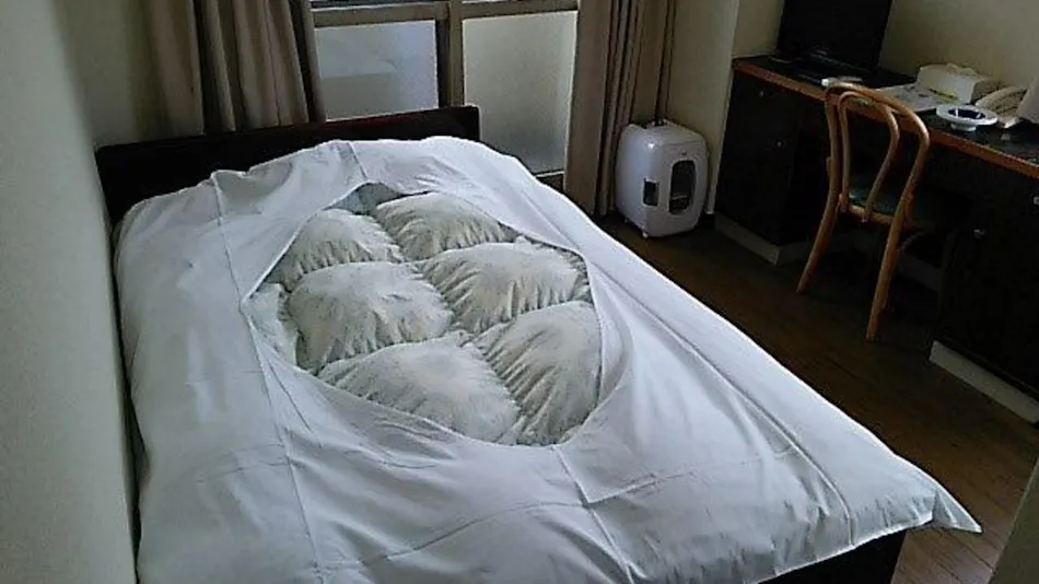 Hotel Nikko Kanazawa Hakkei