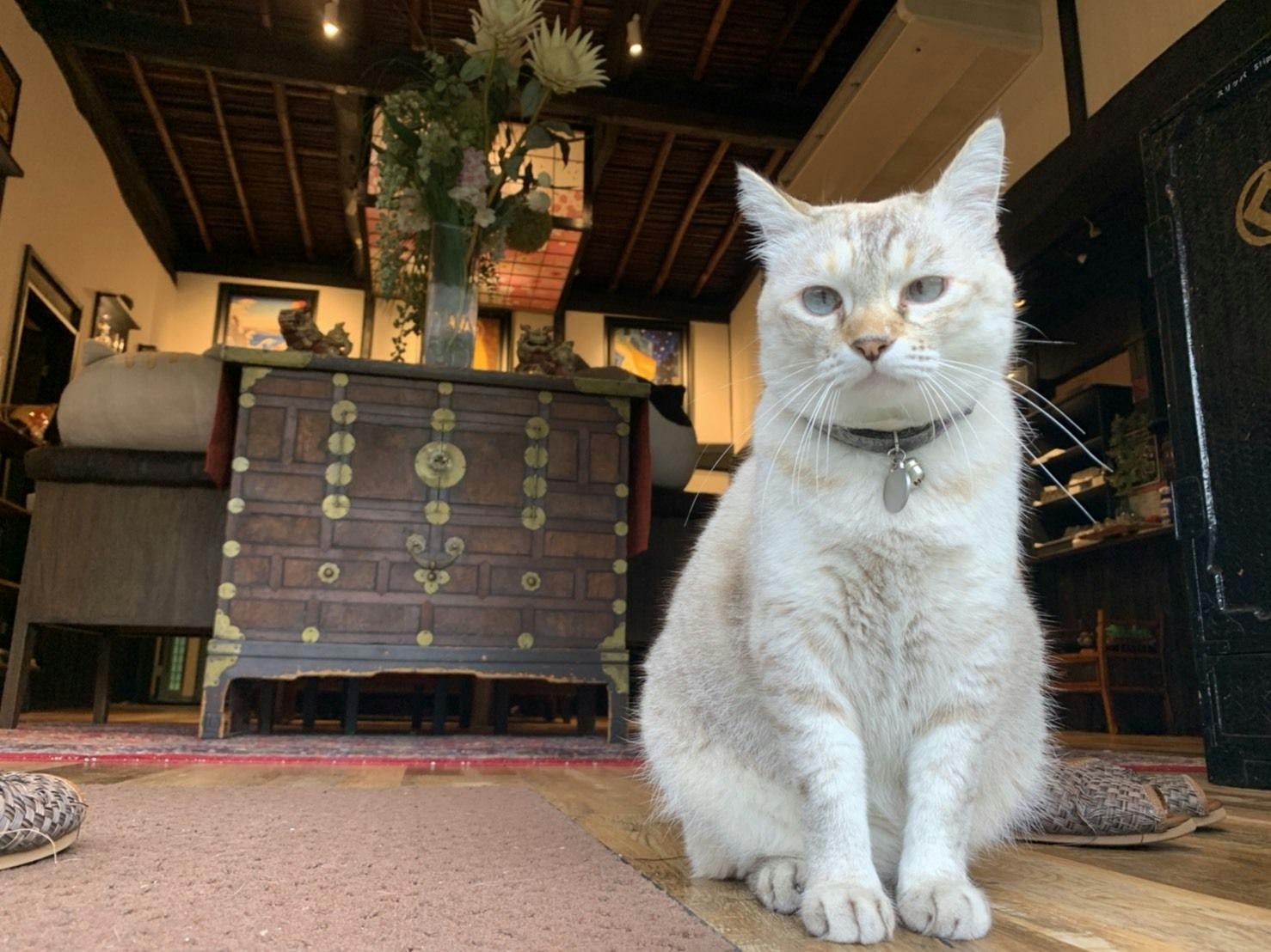 Yufuin Lamp Inn: A Japanese Modern Hot Spring Ryokan