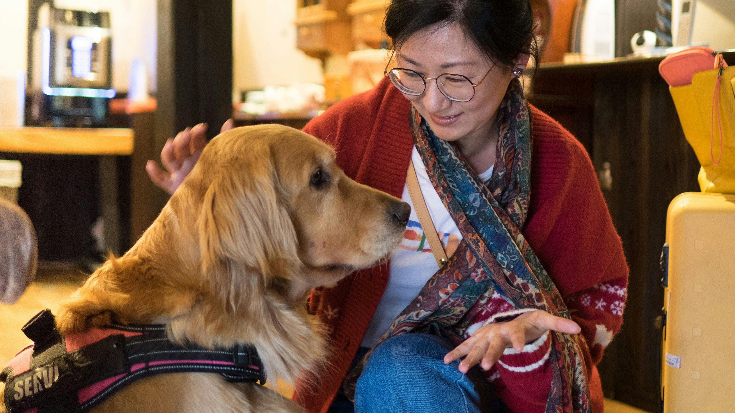 【สิ่งอำนวยความสะดวก】สุนัขประจำที่พัก อะคาริจัง