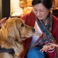 【สิ่งอำนวยความสะดวก】สุนัขประจำที่พัก อะคาริจัง