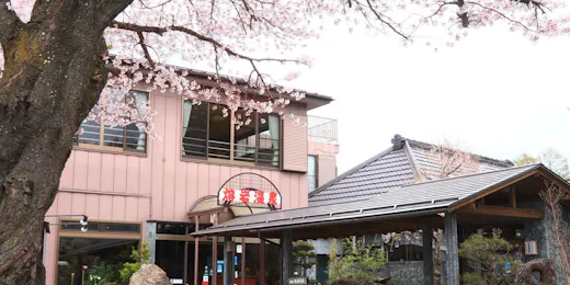 Ryokan Yogan Onsen