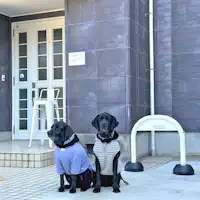 ที่พักที่อนุญาตให้นำสุนัขเข้าพักได้!