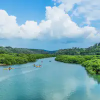 พื้นที่ป่าชายเลนที่กว้างใหญ่