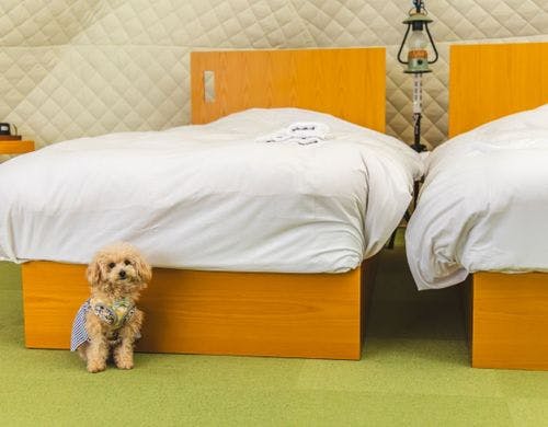 ドッグラン付テント