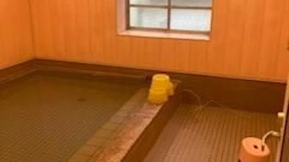 Echigo Yuzawa Onsen Hirokawa Hotel
