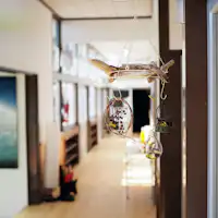 ทางเดิน