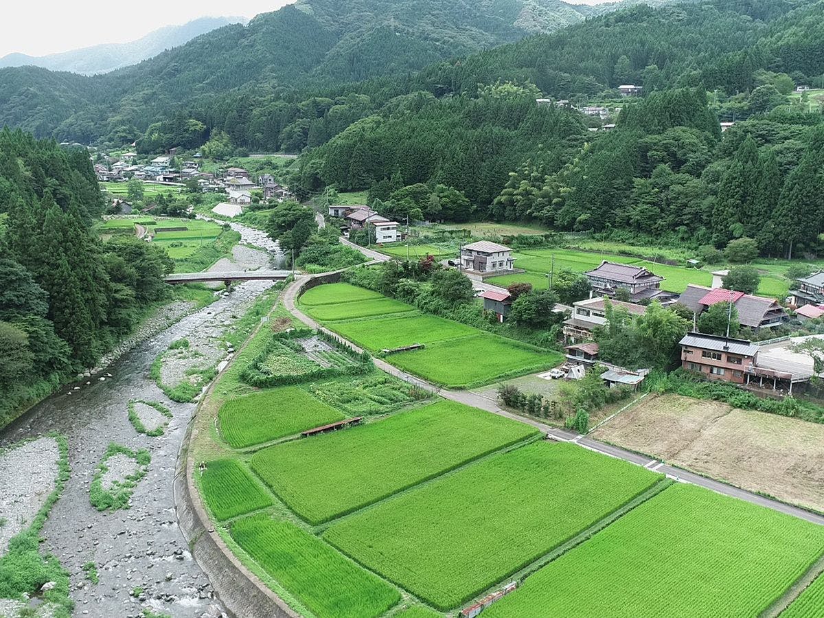 Minshuku Kitano Sedo