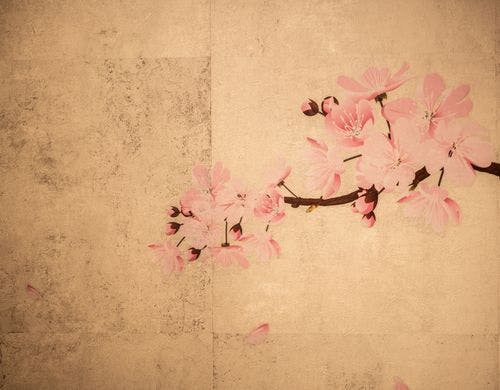 天井デザインクロス