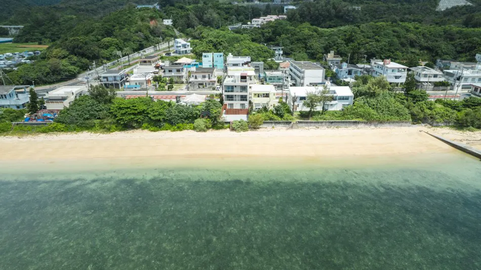 TIMeSCAPE tancha
