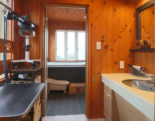 【部屋201】脱衣所・グルーミングスペース*