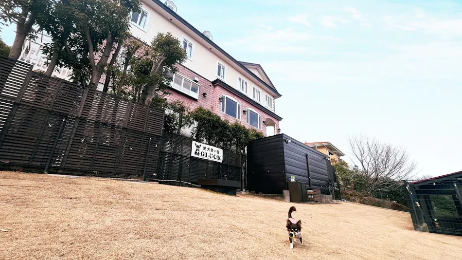 Dog-Friendly Property GLUCK Izukougen