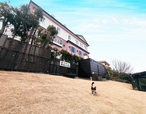 【ドッグラン】天然芝のドッグラン