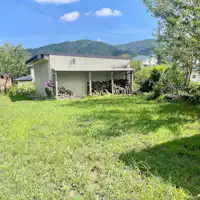 Taman
