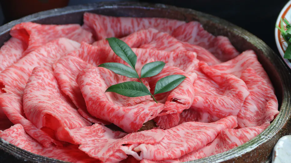 A small traditional Japanese-style accommodation, Culinary Ryokan Sushi Yone