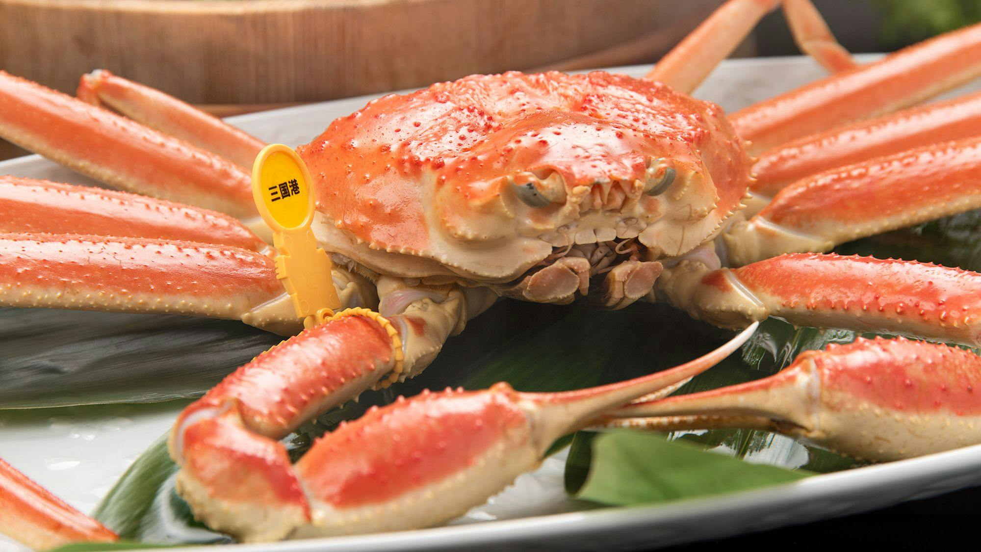 Langsung dari Pelabuhan Mikuni! Kepiting Echizen