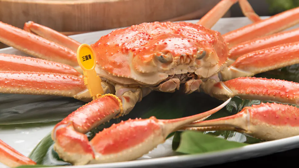 Echizen Crab, Hokuriku Seafood, and Private Bath - Sakana Asobi no Yado Yamachou