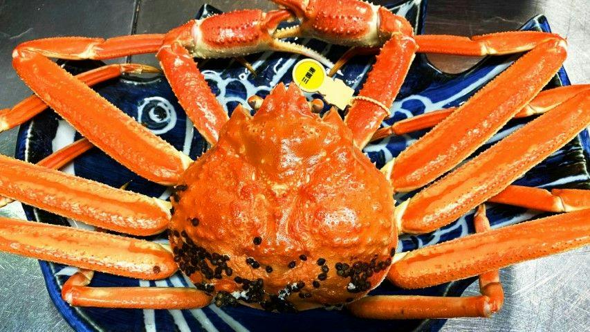 Echizen Crab, Hokuriku Seafood, and Private Bath - Sakana Asobi no Yado Yamachou