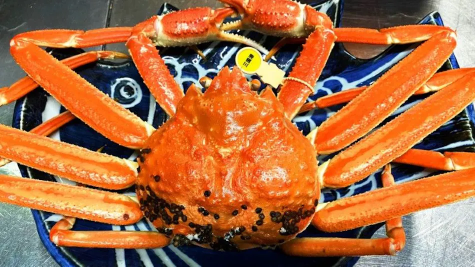 Echizen Crab, Hokuriku Seafood, and Private Bath - Sakana Asobi no Yado Yamachou