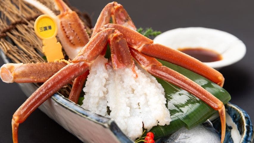 Echizen Crab, Hokuriku Seafood, and Private Bath - Sakana Asobi no Yado Yamachou