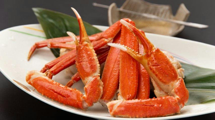 Echizen Crab, Hokuriku Seafood, and Private Bath - Sakana Asobi no Yado Yamachou