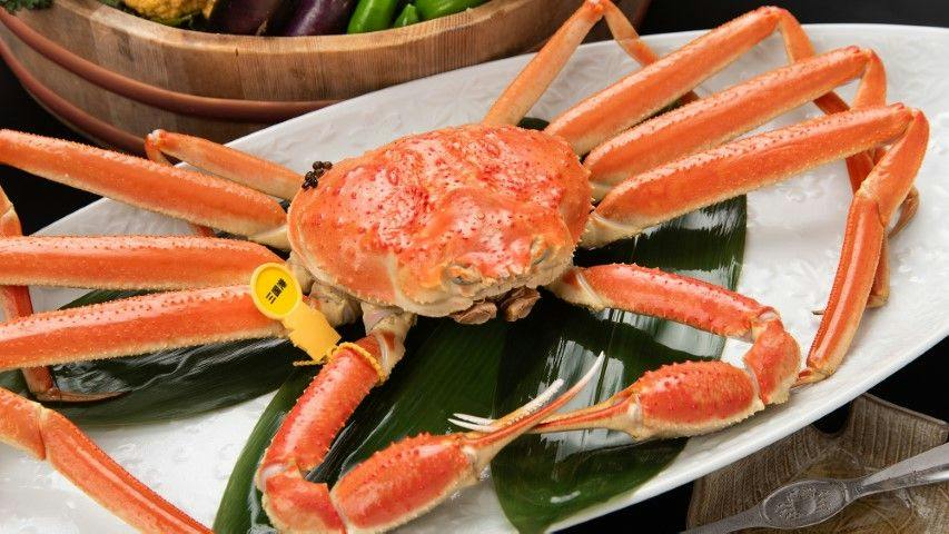 Echizen Crab, Hokuriku Seafood, and Private Bath - Sakana Asobi no Yado Yamachou