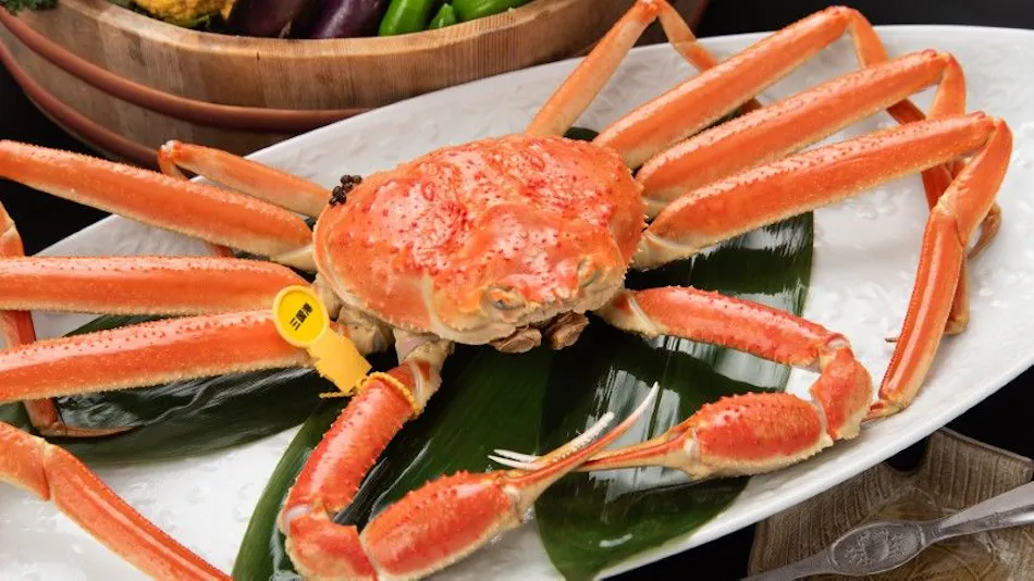 Echizen Crab, Hokuriku Seafood, and Private Bath - Sakana Asobi no Yado Yamachou