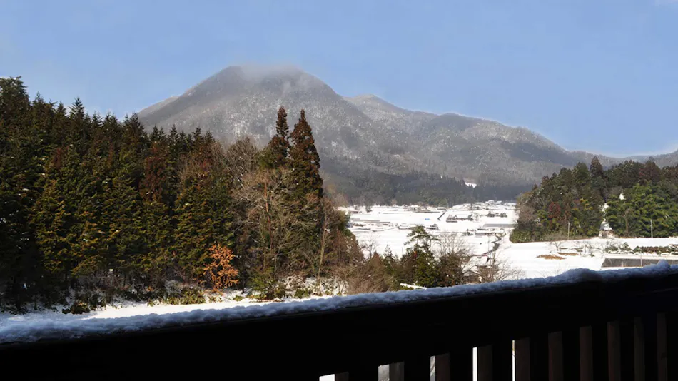 Donguri Inn