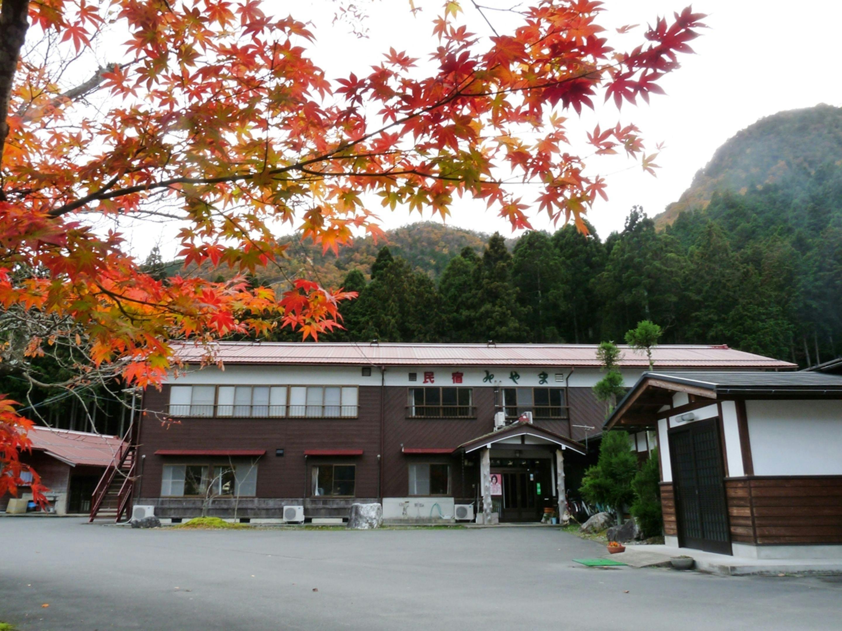 Accommodation Miyama