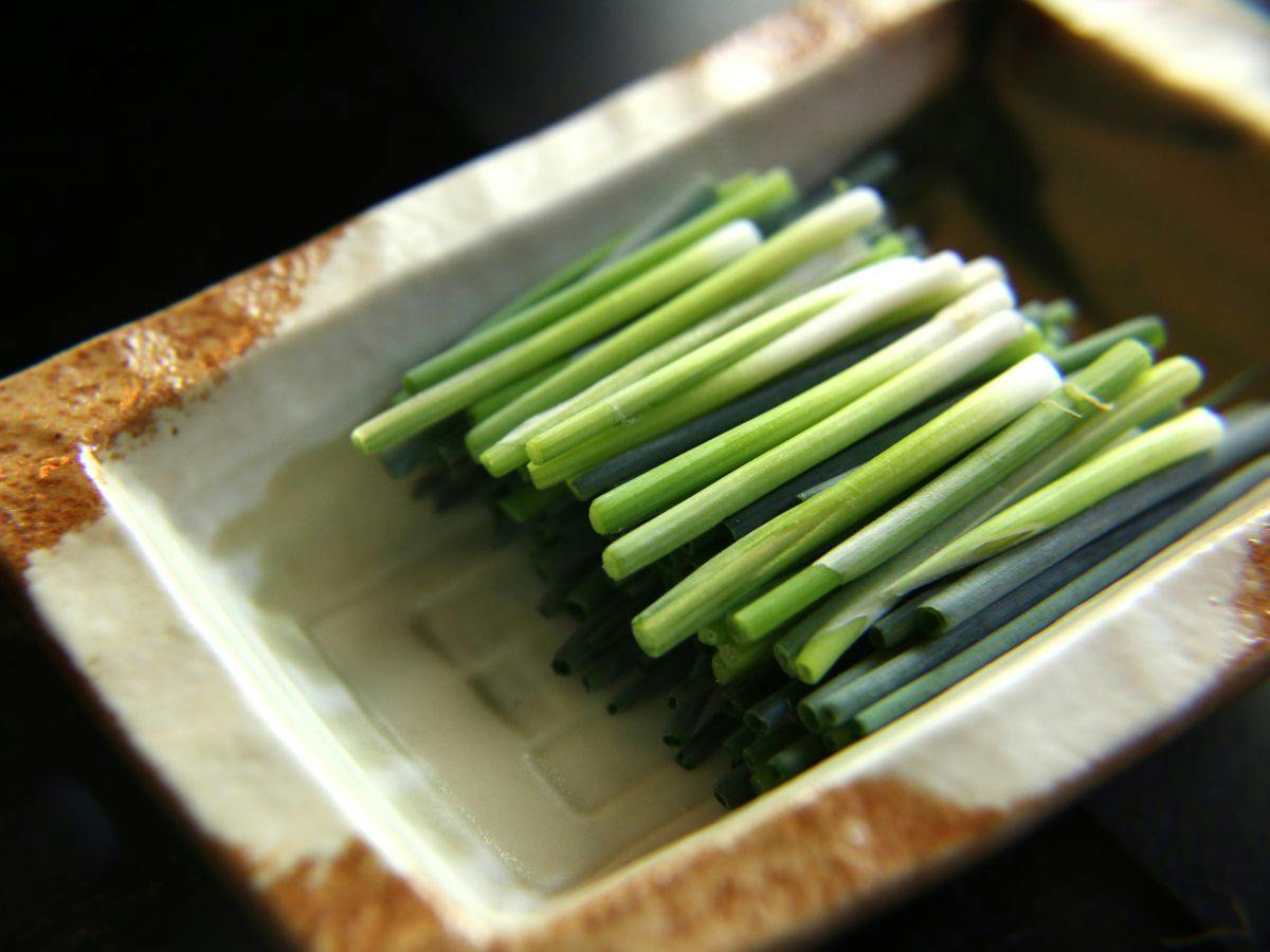 Accommodation & Restaurant Shunkouen